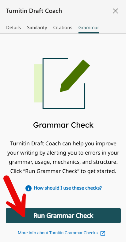 Image of Run Grammar Check button