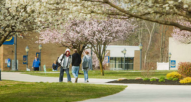 View of the Gloucester campus